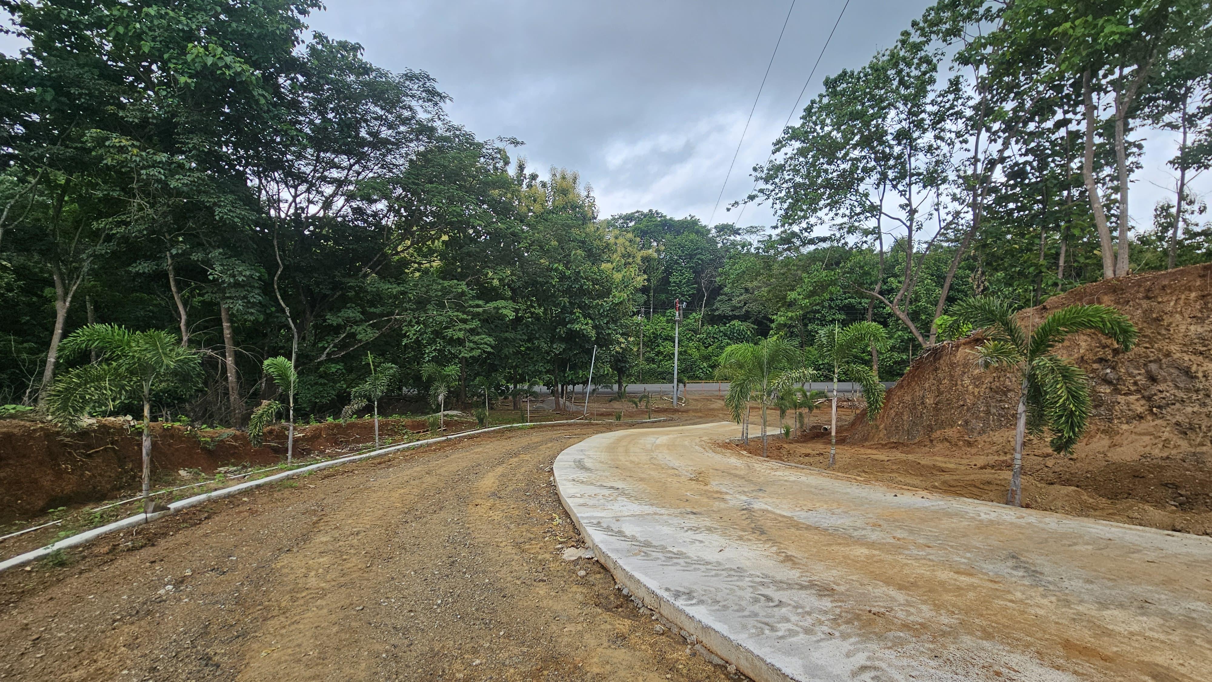Gallery image 12