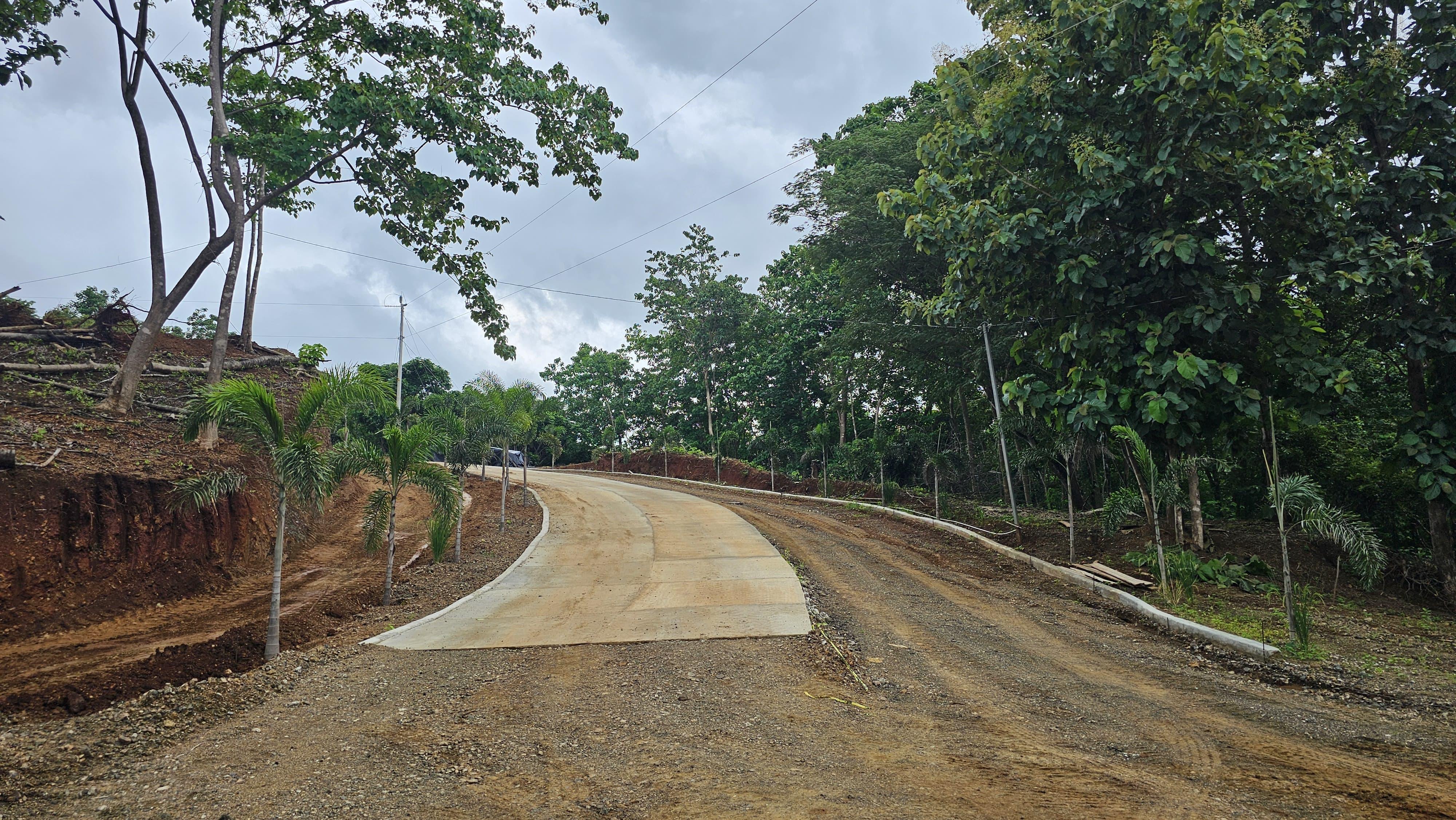 Gallery image 15
